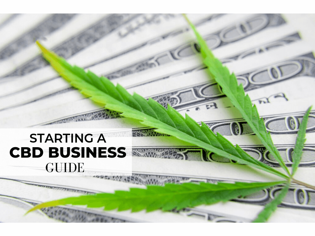 How to Start Your CBD Business in the Ecommerce Industry