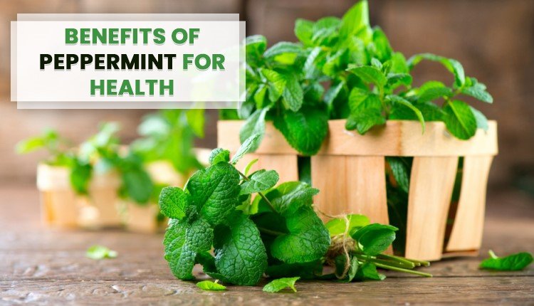 Benefits of Mint Leaves, Health, Mint Leaves, Genmedicare