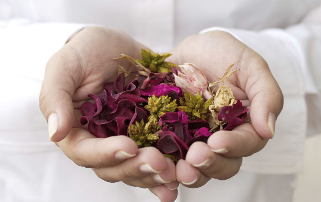 Herbs Might Create a Difference in Your Life Today