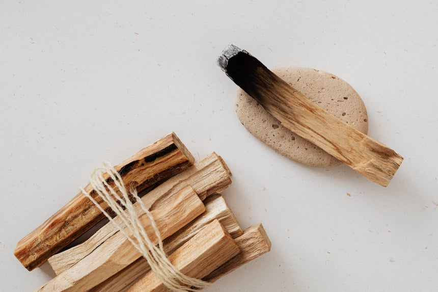 Rumor of Palo Santo Endangerment Found False by ReedsHandmadeIncense