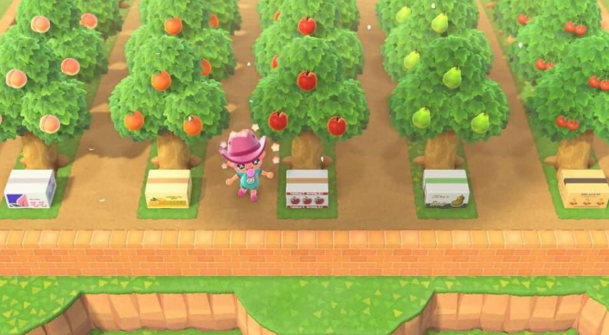 Tips To Get ACNH Foreign Fruits And Earn More Bells - Animal Crossing Foreign Fruits Guide