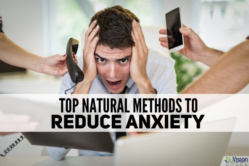 4-natural-dog-anxiety-treatments