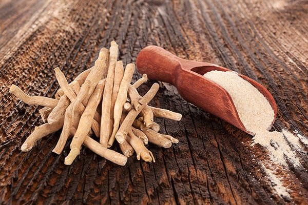 Can Ashwagandha treat Erectile Dysfunction?