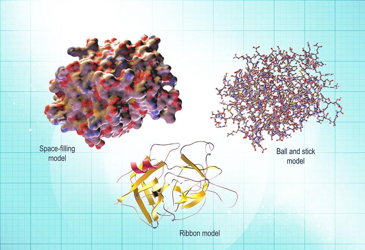 what-are-therapeutic-proteins-ds-news