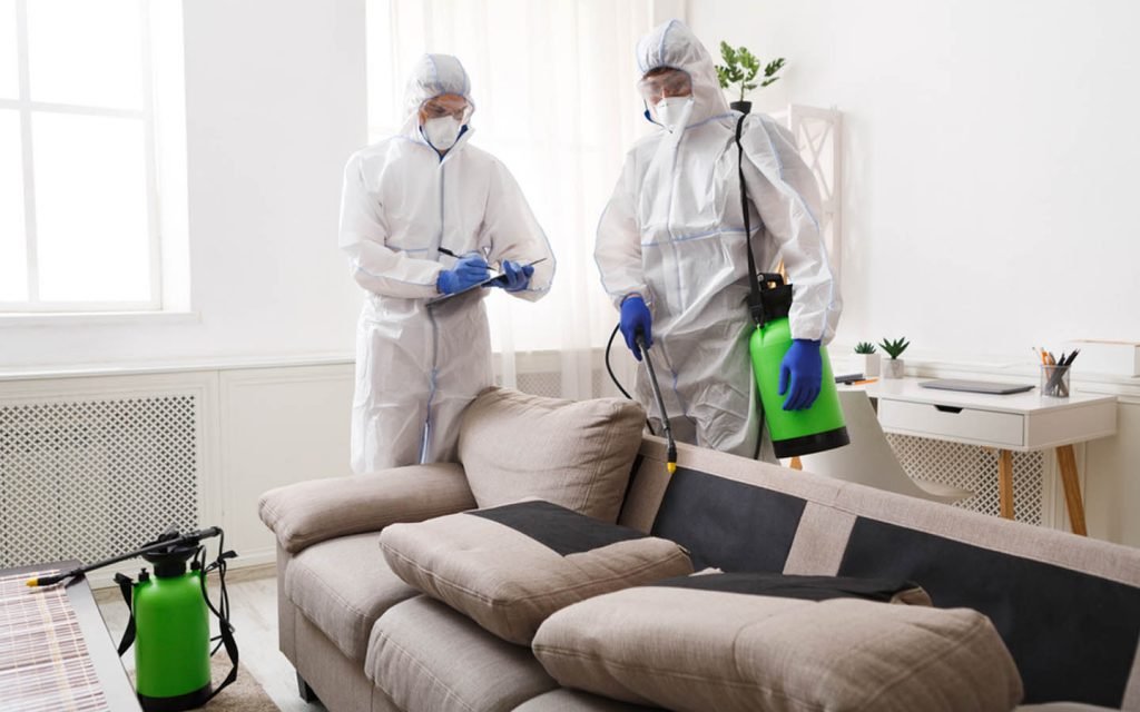 How effectively is pest control