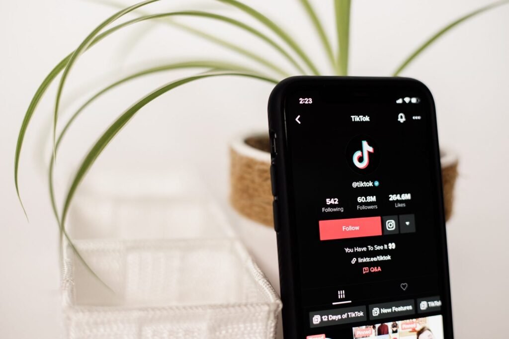 The Ultimate TikTok Guide: Growing Your Followers Organically