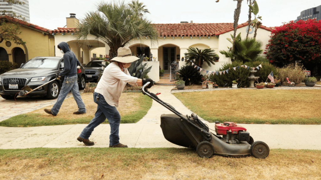 Exploring the Mexican Lawnmower: A Cultural Blend of Tradition and Innovation