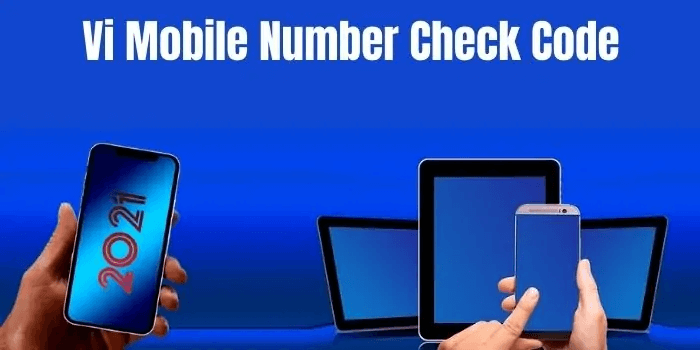 Understanding VI Number Check Codes: What They Are and How They Work