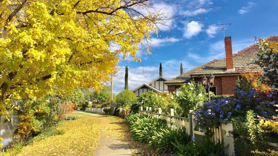 spring and autumn