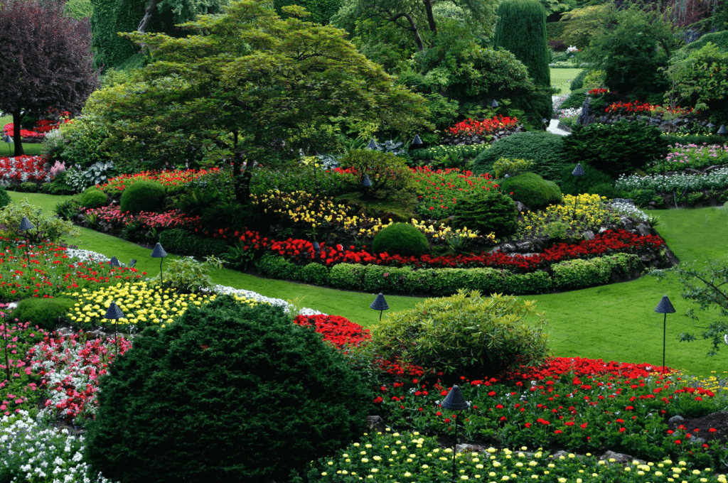 Comprehensive Guide to Tree Services: Ensuring Healthy and Beautiful Landscapes