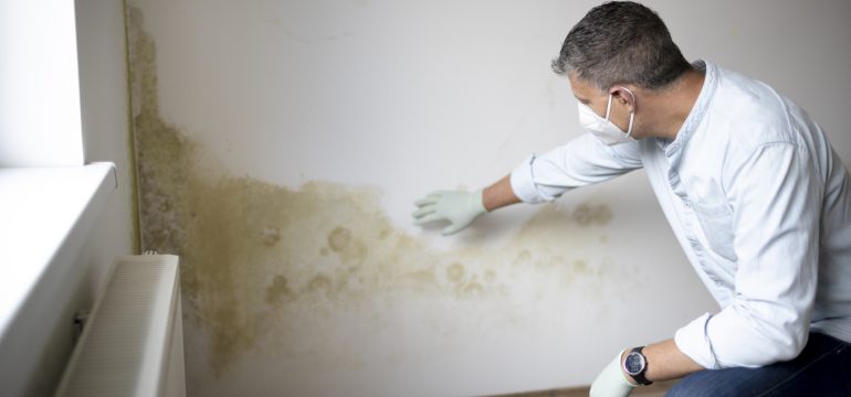 Tackle Dampness