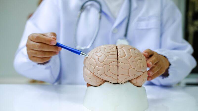 Neuroplasticity Unveiled: How the Brain Adapts and Heals Post-Traumatic Brain Injury