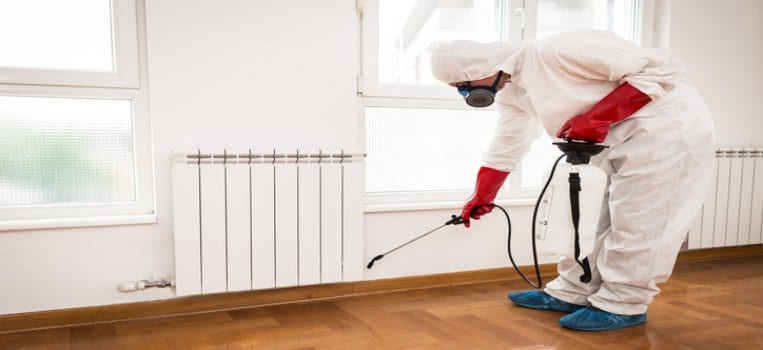 Pest Control Visit