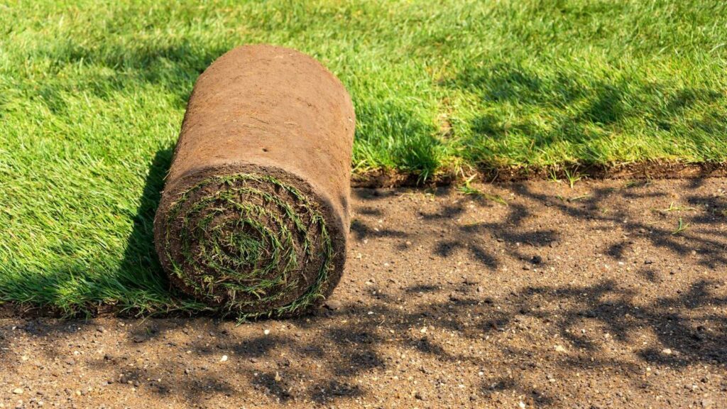 Preparing the Ground Right: A Complete Guide to Turf Clearing for Landscaping Success