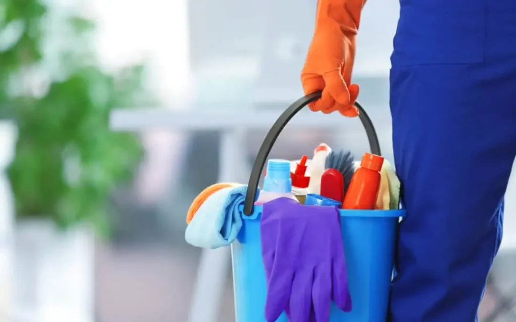 Cleaner