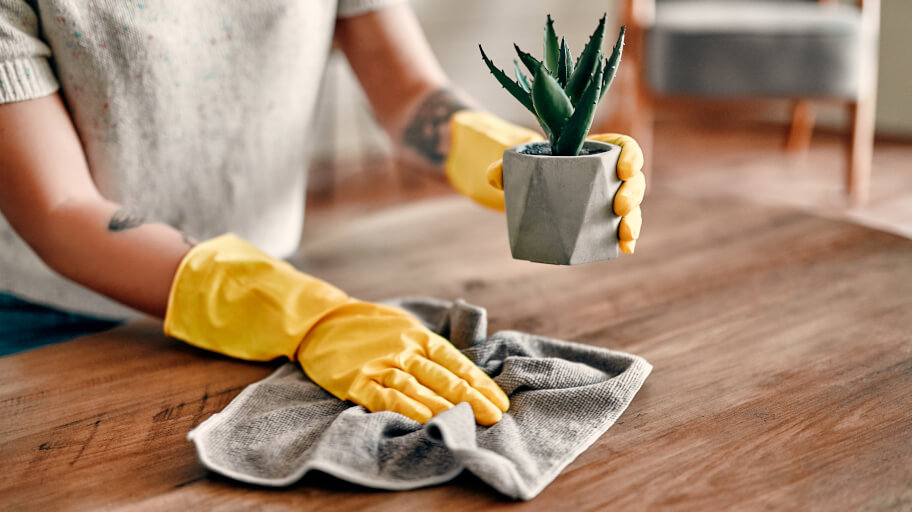 Home Dust-Free